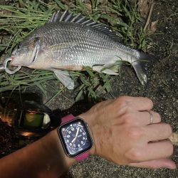 アーバンチニング⑥