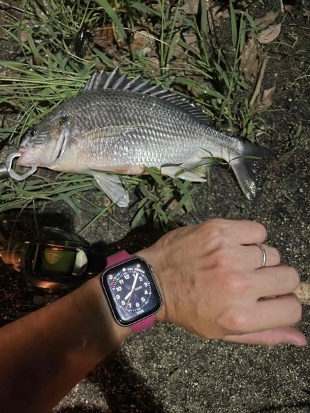 アーバンチニング⑥