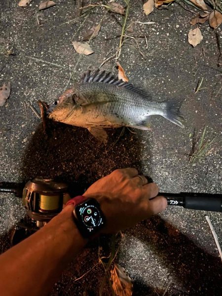 アーバンチニング⑦ シルバーウルフデビュー