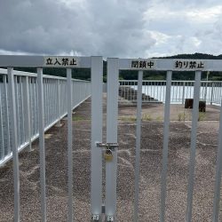 秋エギング開幕？