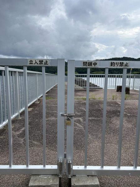 秋エギング開幕？