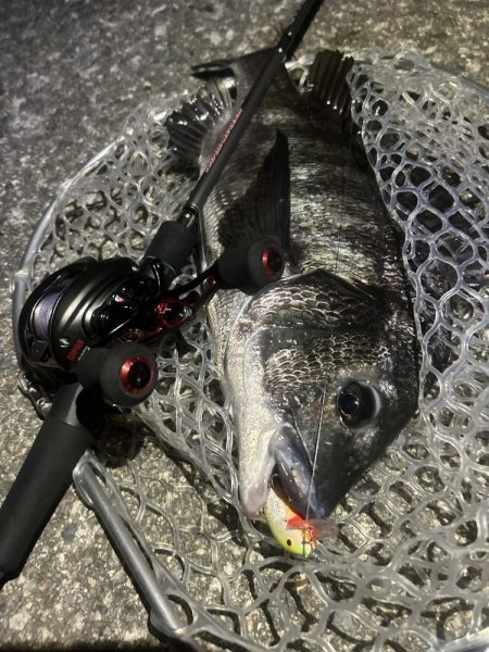 プラグチニング月間100尾の壁