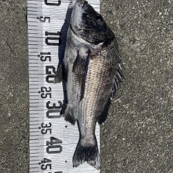 イチノ兄弟、釣果！