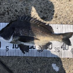 イチノ兄弟、釣果!