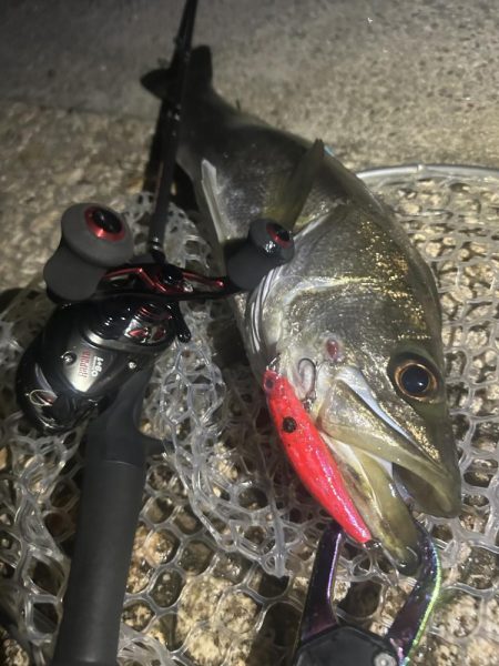 ラパラを封印して