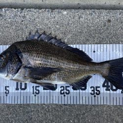 イチノ兄弟、釣果!