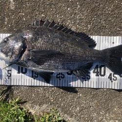 イチノ兄弟、釣果!