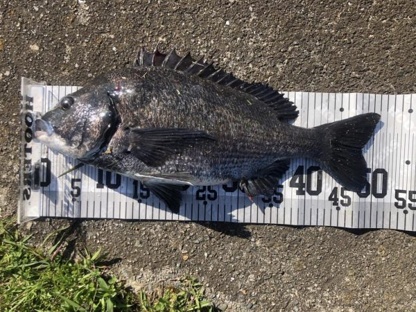 イチノ兄弟、釣果！