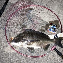 9ヶ月ぶりのご対面!