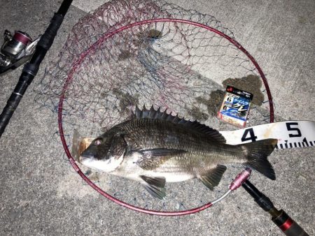 9ヶ月ぶりのご対面!