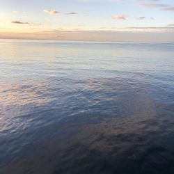 エギング 佐渡遠征②2日目