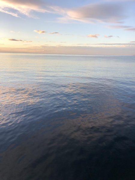 エギング 佐渡遠征②2日目