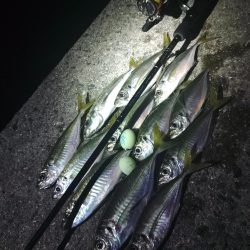 フロートゲーム~