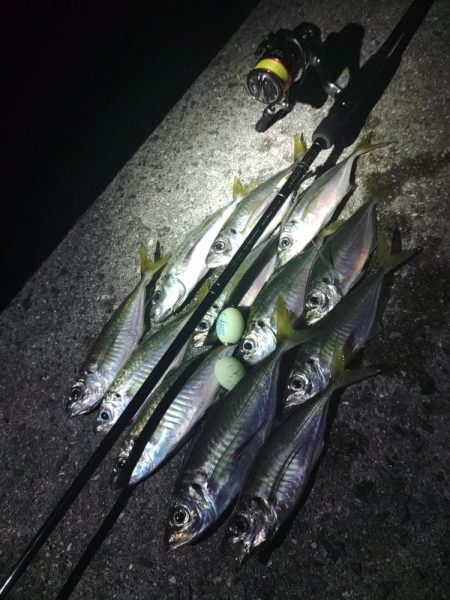 フロートゲーム~