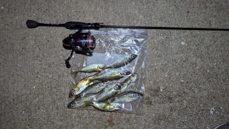 風を避けて何とかアジング