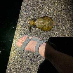 台風来る前に桃さんと