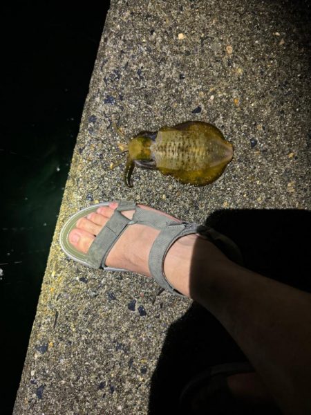 台風来る前に桃さんと