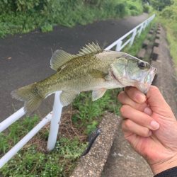 晴れてるので、バス釣り行った‼️