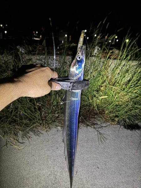 テンヤ釣り！！