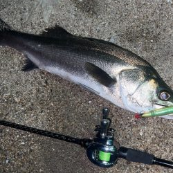 サスケ真裂波はいいぞ!