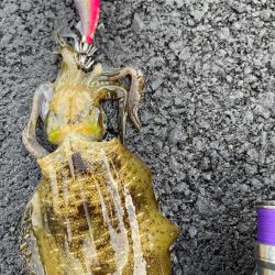 秋の恵みに感謝！