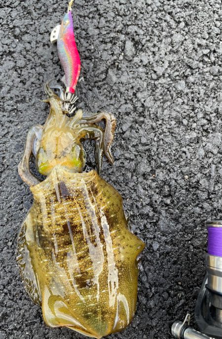 秋の恵みに感謝！