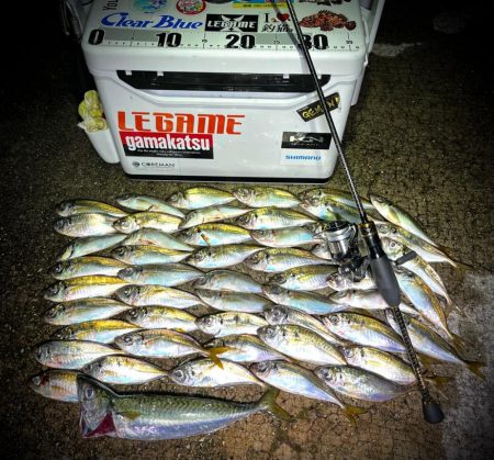 8月ラストアジング