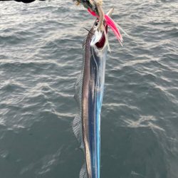 大阪湾太刀魚テンヤ