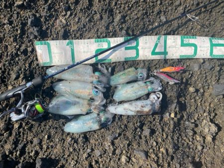 2024 佐渡ヶ島エギング 8回目【9月1…