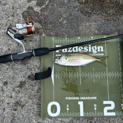 ⭐️変わらず高活性