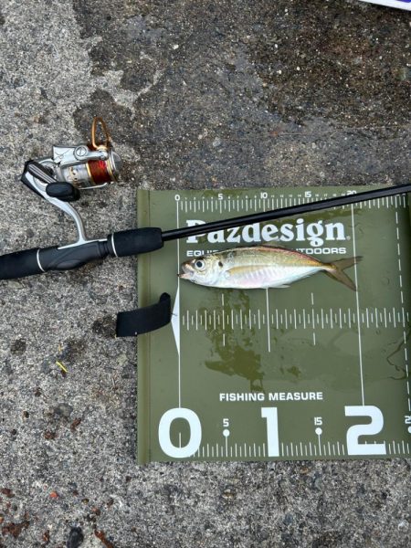 ⭐️変わらず高…