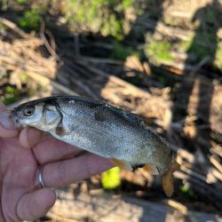 短時間の出会い