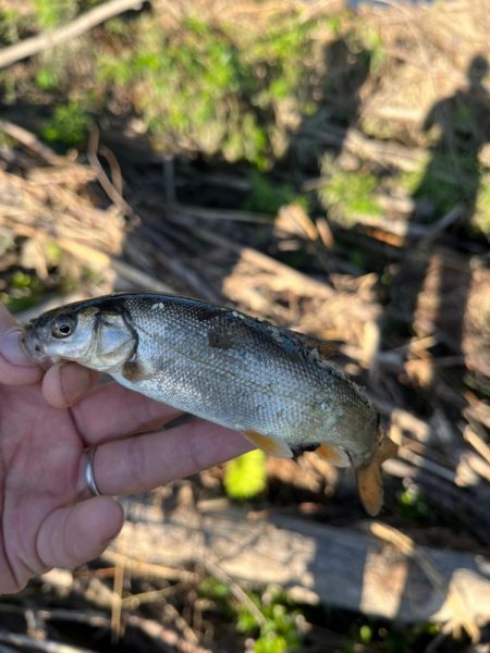 短時間の出会い