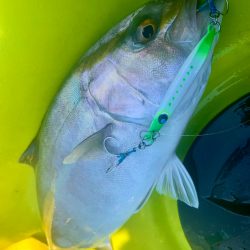 カヤックフィッシング