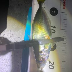 超絶、悪天候！！