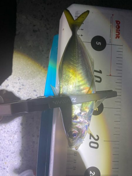 超絶、悪天候！！