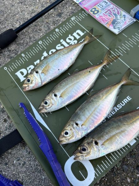 ⭐️毎度のサビ…