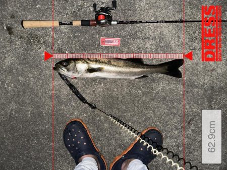 この時期特有のベイトパターンに合わせると無限バイトから怒涛の19キャッチ!