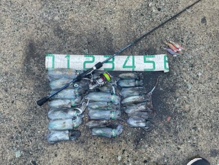 2024 佐渡ヶ島エギング 8回目【9月1…