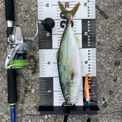 ミラクルツバス