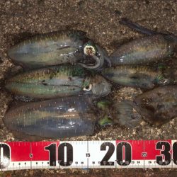 ちょこっとYOASOBI釣行