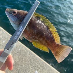 太陽が沈むまでは…