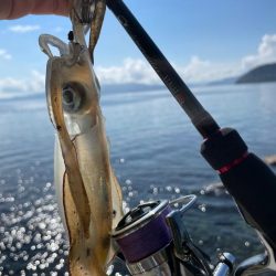 3日連続獄暑調査!