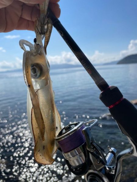 3日連続獄暑調査!