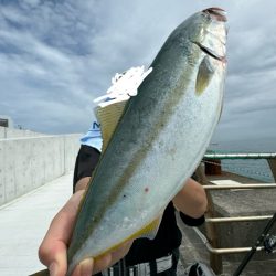 久しぶりの翼港