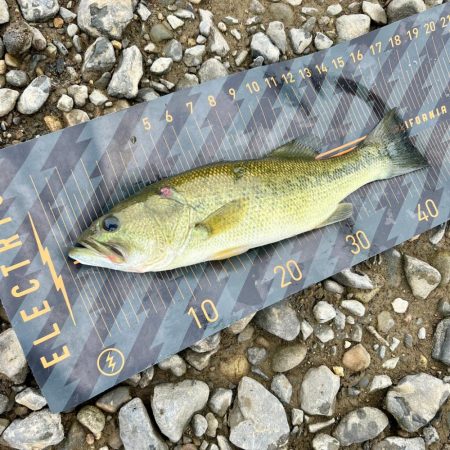 とっくに秋色🍂