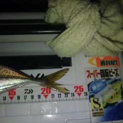 総入れ替えフロートゲーム②