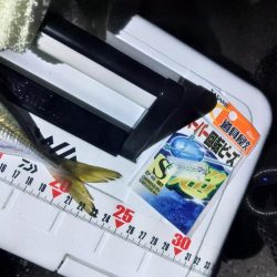 総入れ替えフロートゲーム～③