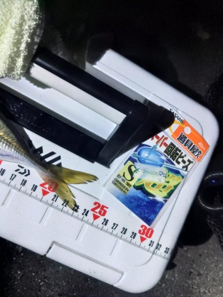 総入れ替えフロートゲーム～③