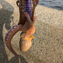 とうとう終盤…。